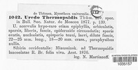 Uredo thermopsidis image